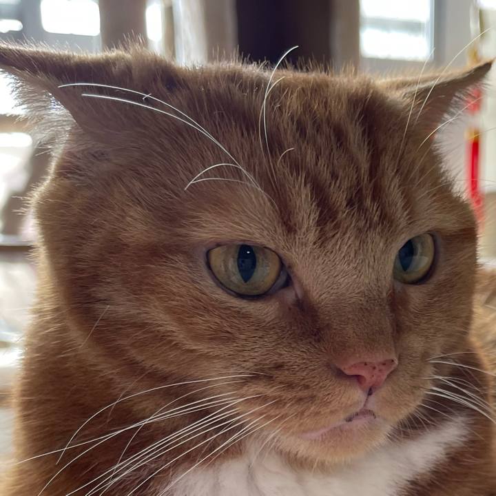 B2531b7a f2bf 4117 8b47 89dba4b7cbd9 1728097363080