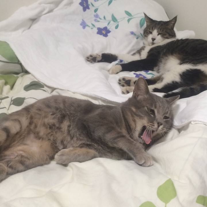 B2535dea 3e87 491c b505 58d5a65106cf 1512274852532