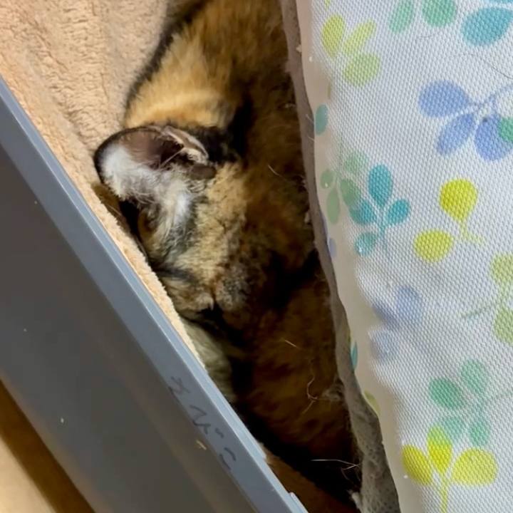 B2536ba4 6256 45df 9660 a3a6c6555b4b 1771843315576