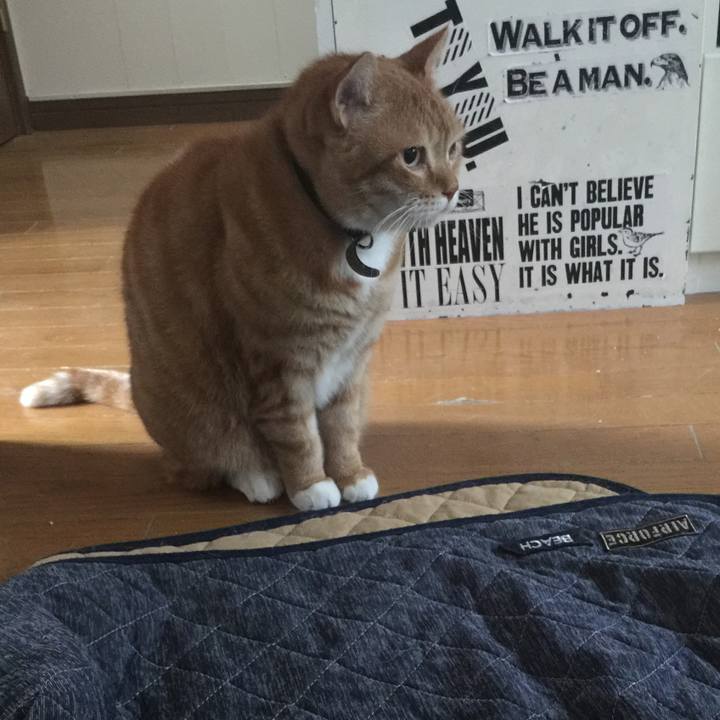 B25378f2 c045 47b1 a89e ea6f25c32d27 1553908953405