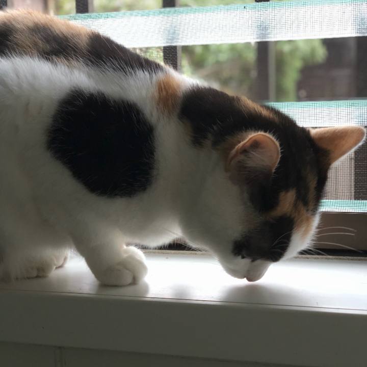 B2537e28 cca5 41af bd4e 777335f76372 1543368235196