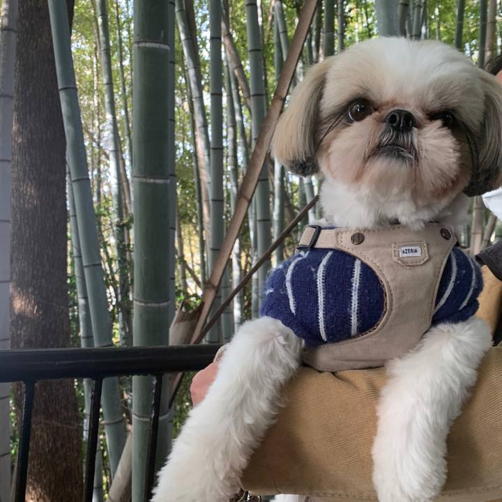 B2538b78 90f8 4802 a7da 16f6923532a3 1644809582264