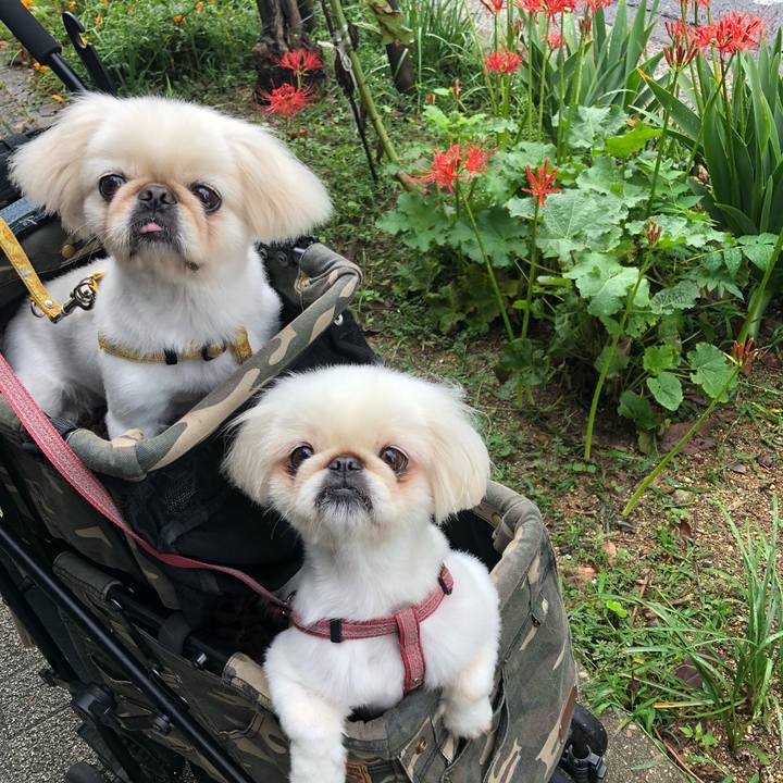 B2539702 821d 4b4a b98e ba1aab67eaa6 1537578393619