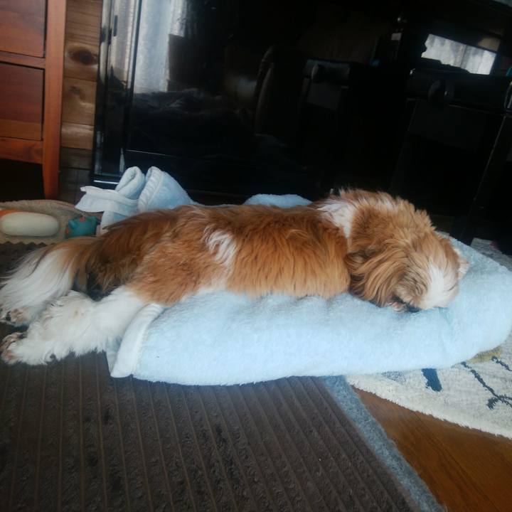 B2539713 63b6 492a 8385 3f68d1b1446a 1552628501528