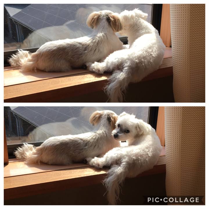 B2539f07 b8ab 461a 8268 3d7d6e3b8808 1553646378270