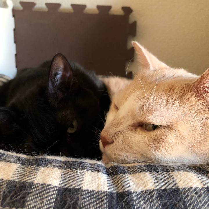 B253b256 d89a 4537 b0e3 9d546fcb65af 1607257954828