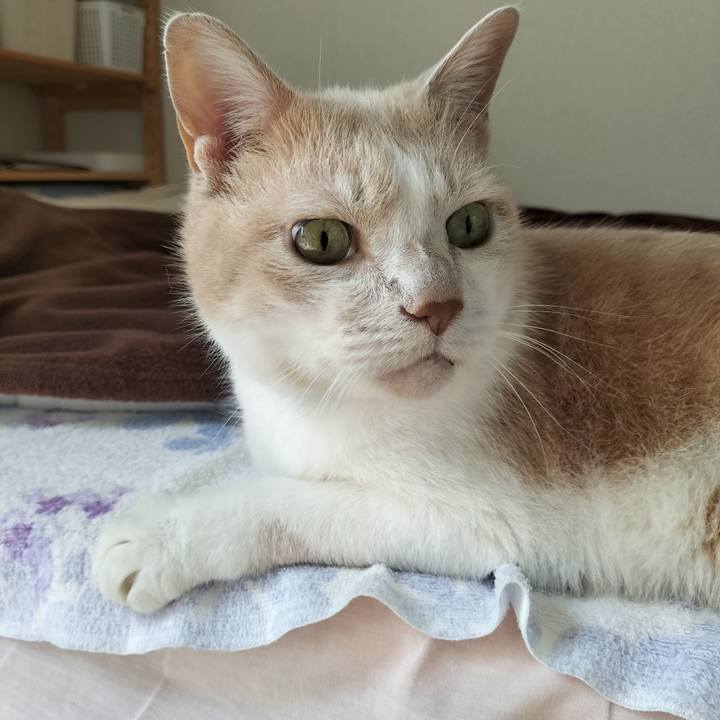 B2542048 e2b4 4647 85ff 75a41b564177 1632954821588