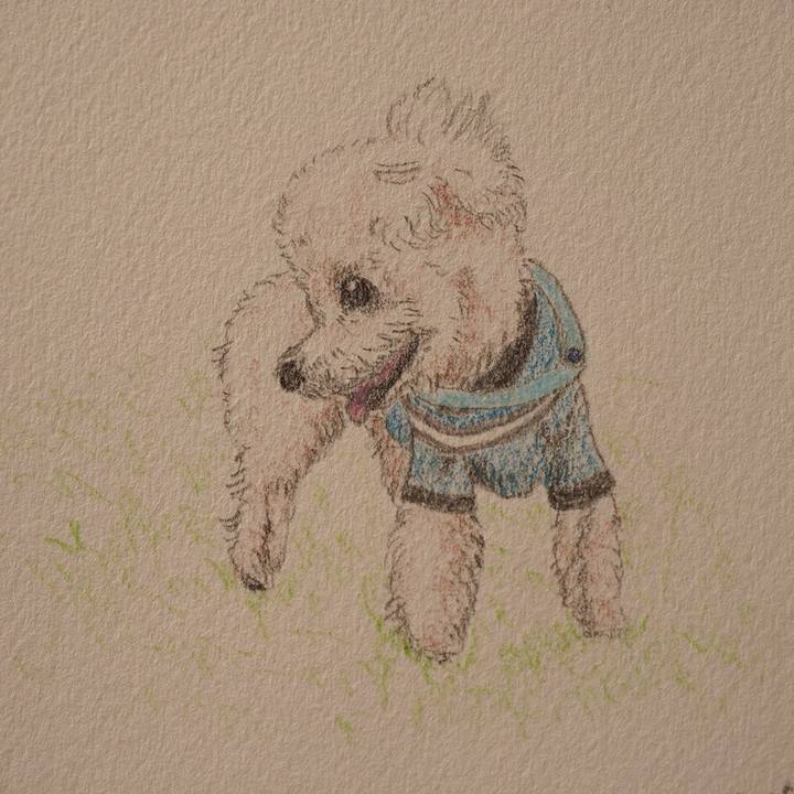 B2543188 45dc 4046 8f0a db6e5702dfd9 1751774062412