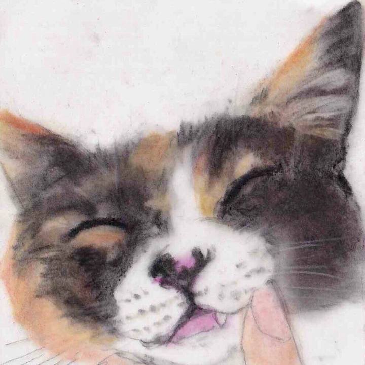 B25454c5 bd6b 47cb a1e3 c47df0369f25 1647957924556