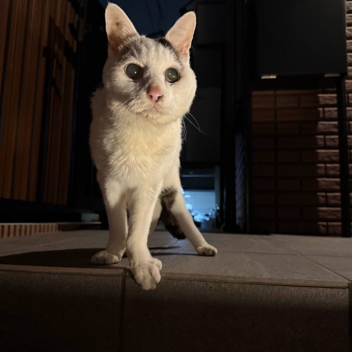 B2546794 cf3d 4a1a ba88 569b9ded18b7 1766478764577