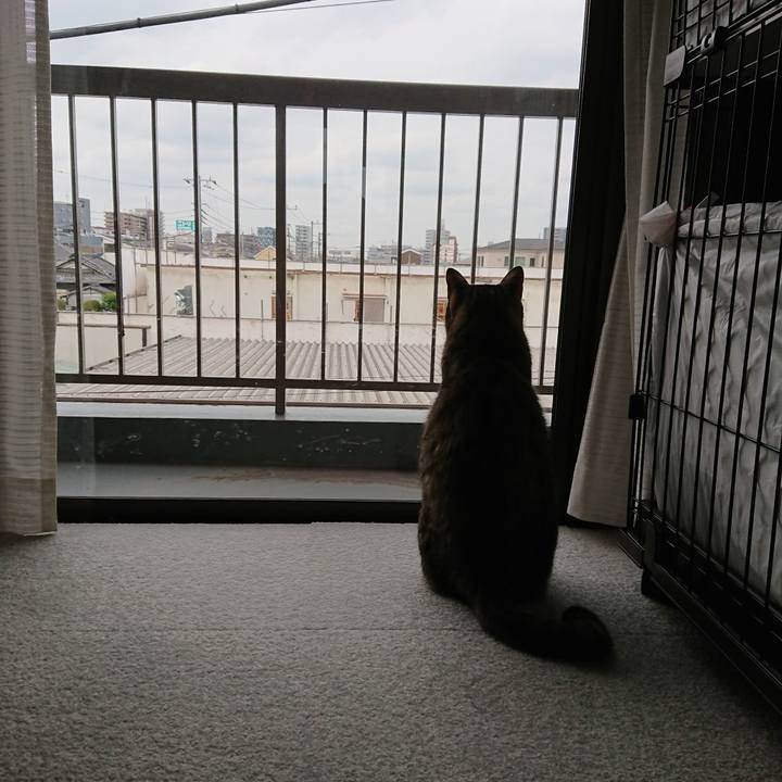 B25477c0 b50d 44e6 950e ba6c85ee0a4d 1569030830896