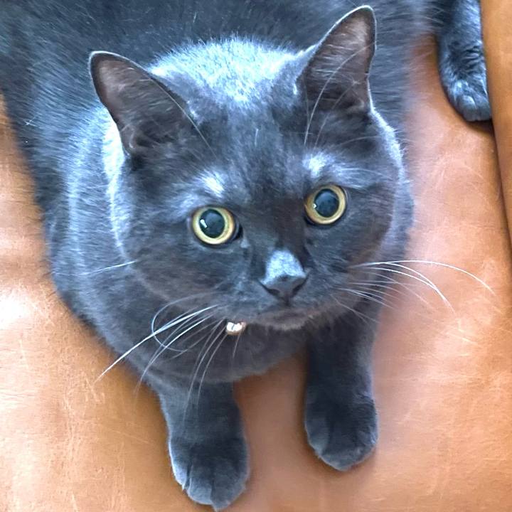 B254a3c6 37ef 4d23 839e 600923dcadeb 1758619898991