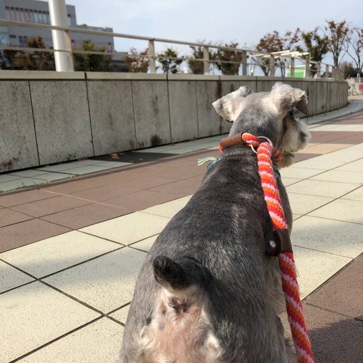 B254aa02 93e2 41b4 aea3 17891db86eb7 1542509082638