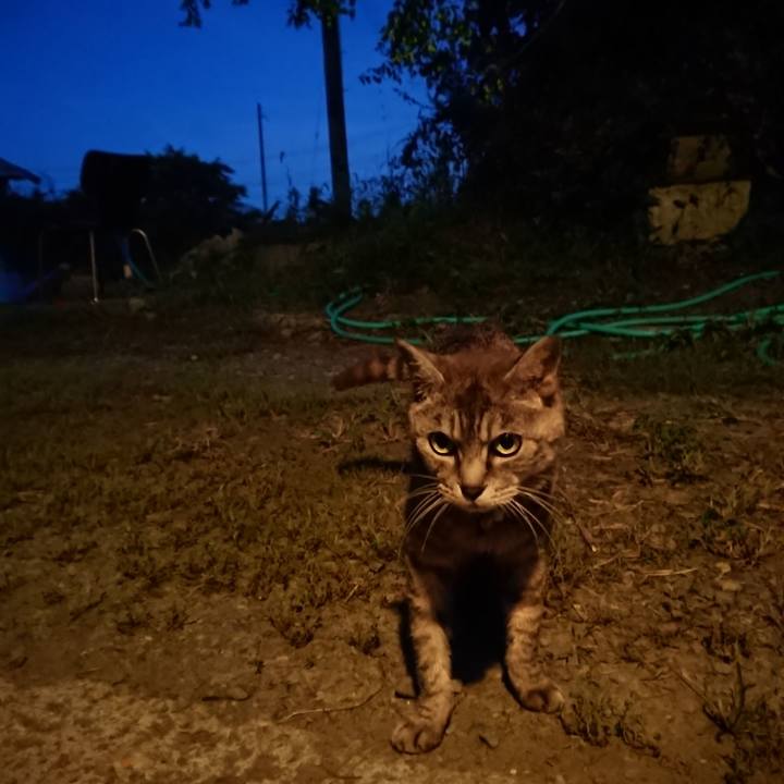 B254b4c1 59e9 43ab afc7 ff1c2ea7c7ac 1567848795459