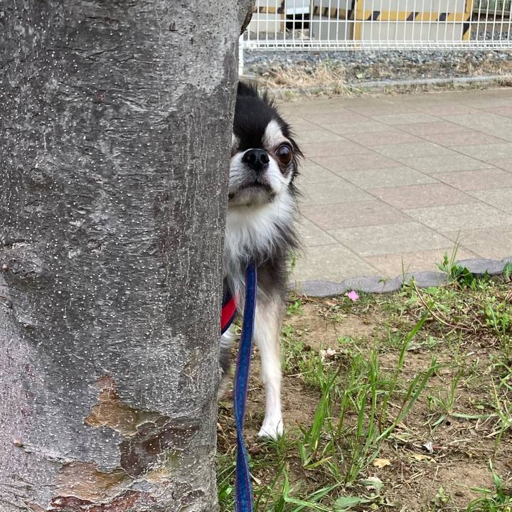 B2550013 746e 407c 955d d68b81177075 1713714271663