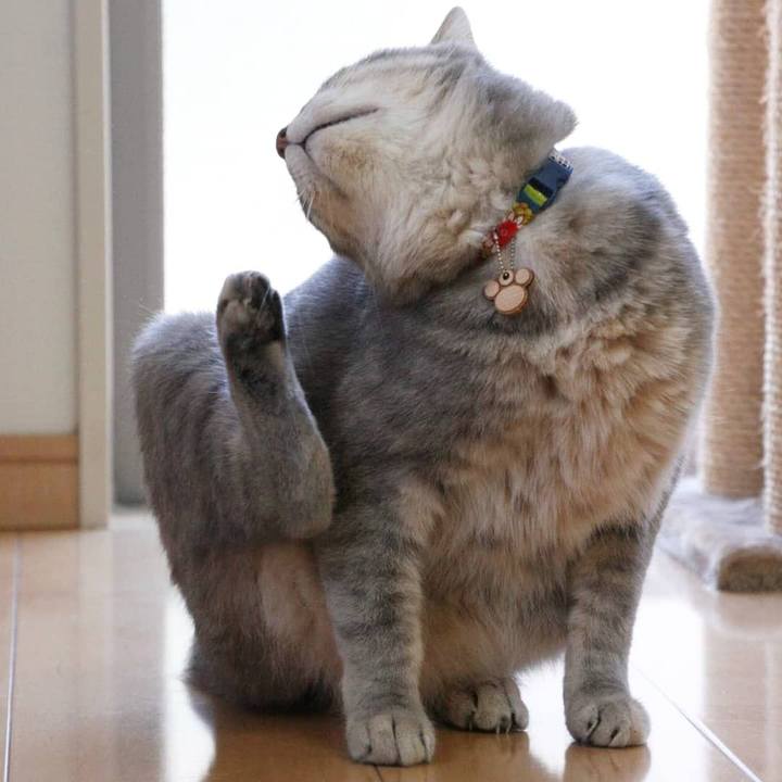 B2552391 5860 4150 b4b2 7052b16e30f1 1560414641151