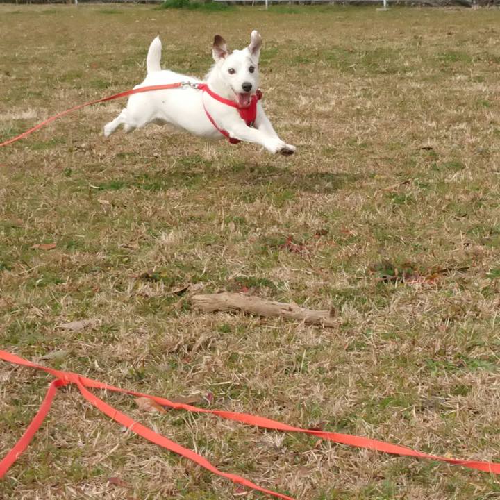 B25529b2 3ca1 468d bafb 1604d9800916 1583884835731