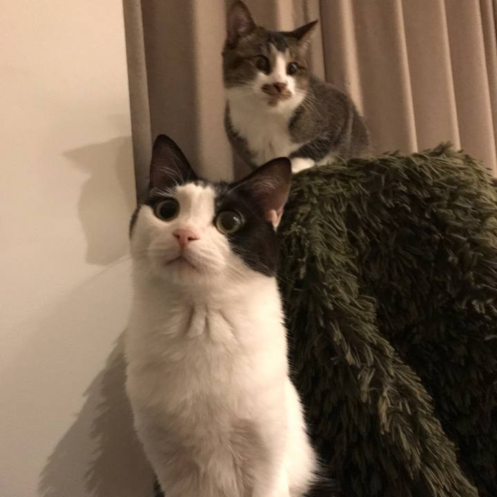 B255351b 534f 4bf5 9588 666c740a52b7 1527510941306