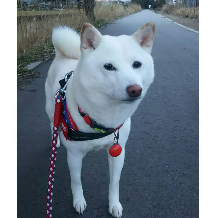 B2554154 fcd6 4102 953d 3d3bb7f2e2bd 1582792354956