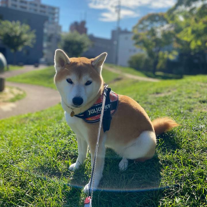 B2557373 70c9 4c5e 8234 0a2bf1827e2d 1632201755278