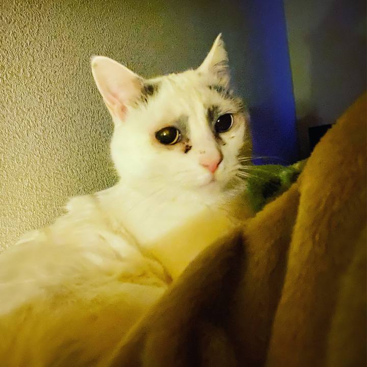 B255771e b805 4cbc bbc0 3b020c7e3425 1588701163576