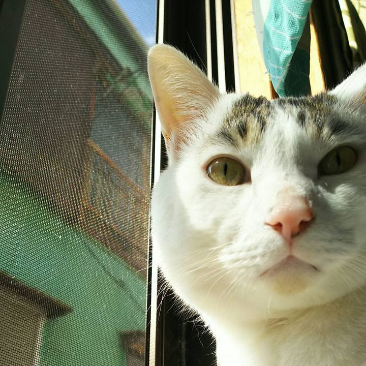 B255c346 a3c7 4fcd a82c 4b7215d5db30 1510220721364