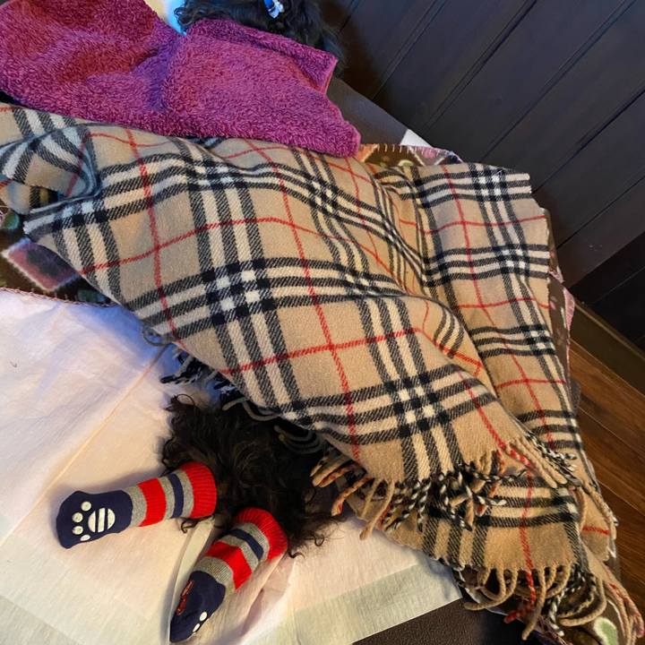 B256058e 0fed 4bd4 9ef7 d06537b59214 1613948153879