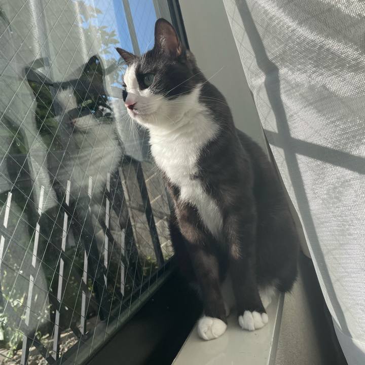 B2562b5a 10cc 498f a018 06abe6b127ad 1666316454744