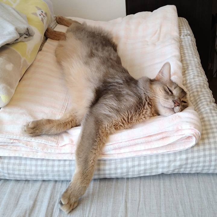 B2566318 3c1f 42c1 bbd6 283fac681592 1624326615501