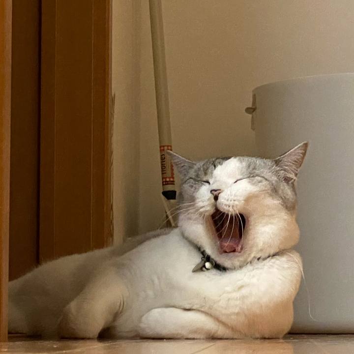 B2568962 d899 4184 b563 2853eb0ce1f2 1599353359014