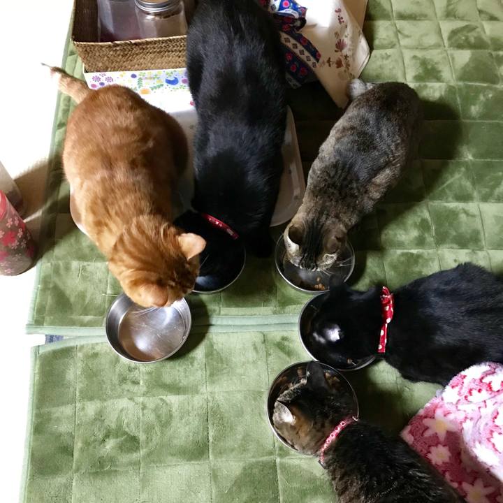 B256b2a1 bdba 4552 bec8 11d4a6649efe 1523886472173