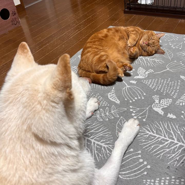 B256b541 0a8d 4726 acf1 9c296fede0d6 1774443282311