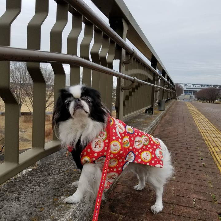 B256e724 d3ae 42d3 be53 783a1ea8a566 1515416966376