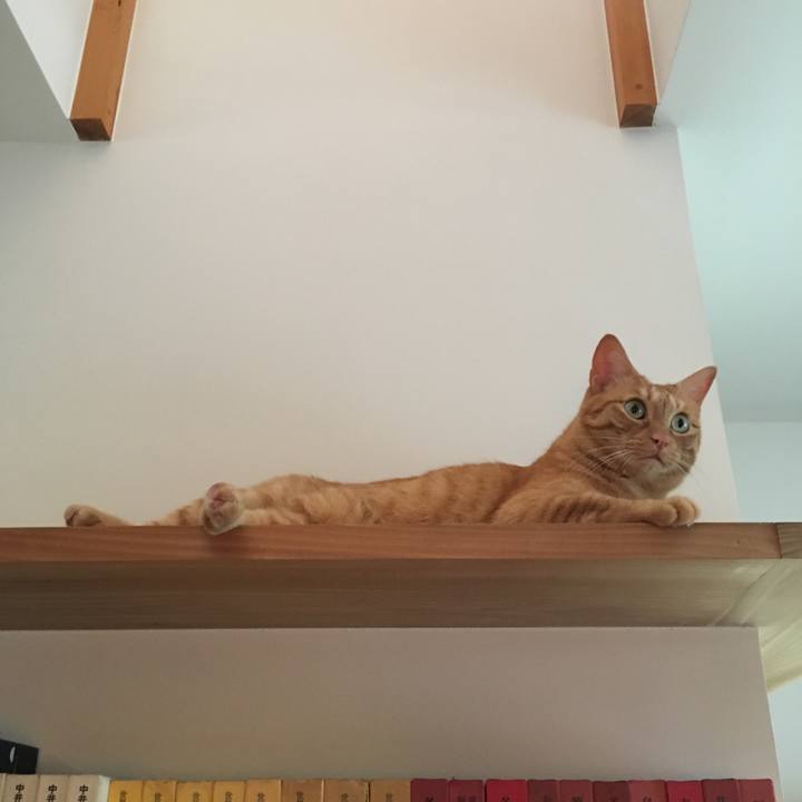 B256f6bb efae 4c71 94de ca709bd96530 1567082416638