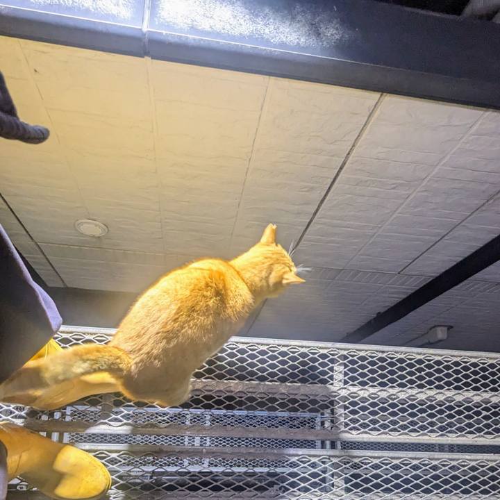 B2573609 e2ff 47b7 81a2 40b30000b672 1771168938689