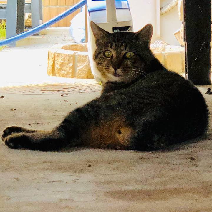 B257574e 1d97 4b8f bebc e892fb22c334 1567230213607