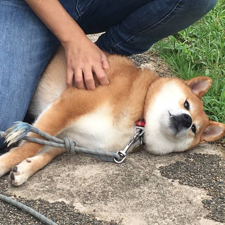 B2578f23 1ced 4ffd aef4 c6cf2cc63c7e 1569756986848