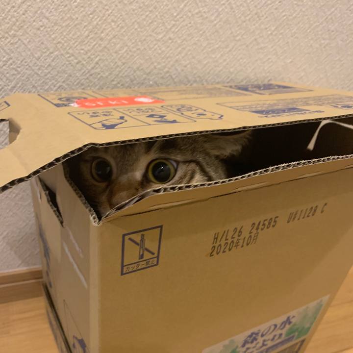 B257a9f8 3dd4 4712 8a57 8bd909c4a5ec 1548587461753