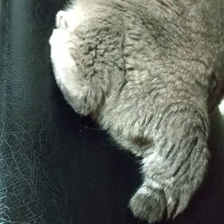 B257d0f4 987e 4e1e bd7e 9c851806ad69 1699086331732