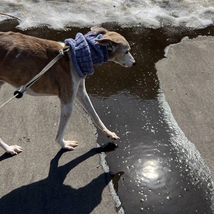 B257f353 b645 4a40 a613 947d20c236b5 1775895330960