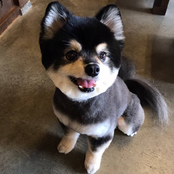 B257f70e 6a61 4296 8c0e 4b4b6bfec753 1593518316572