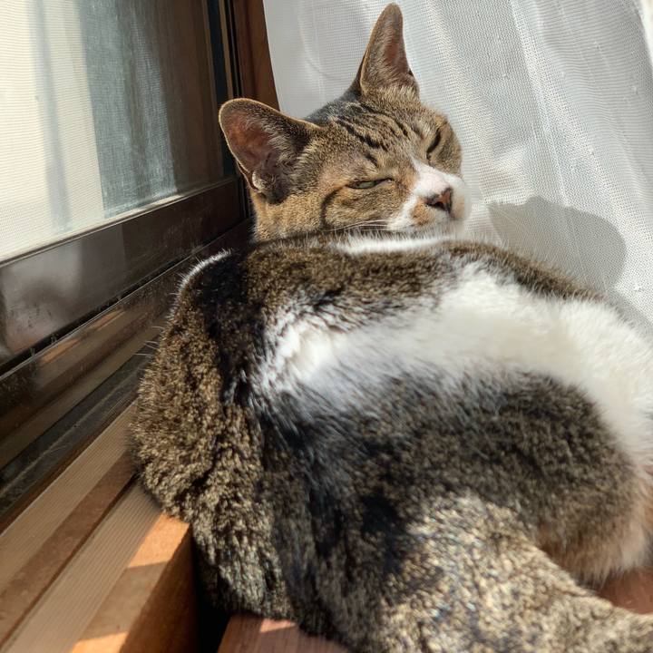 B257ff27 02fe 4b56 a095 8152a2081a36 1584926659889