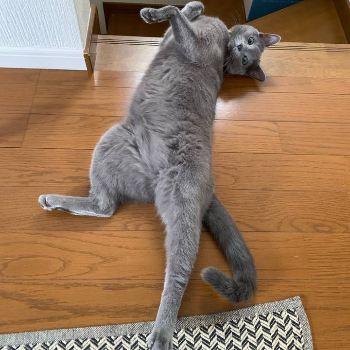 B2583923 d580 4f40 80ca f6ba2a67c098 1603244836621