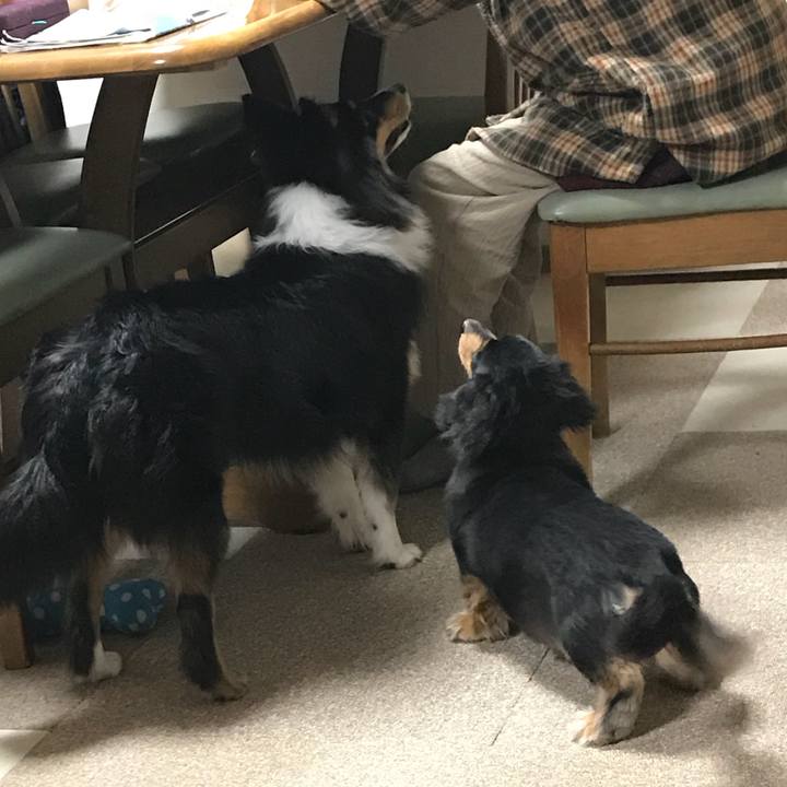 B2585c1d a856 4c71 b1d4 8f1c6e03baf5 1521497956829