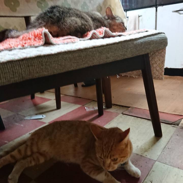 B258eb51 9029 4e93 8e33 5d15659e0708 1565301063299