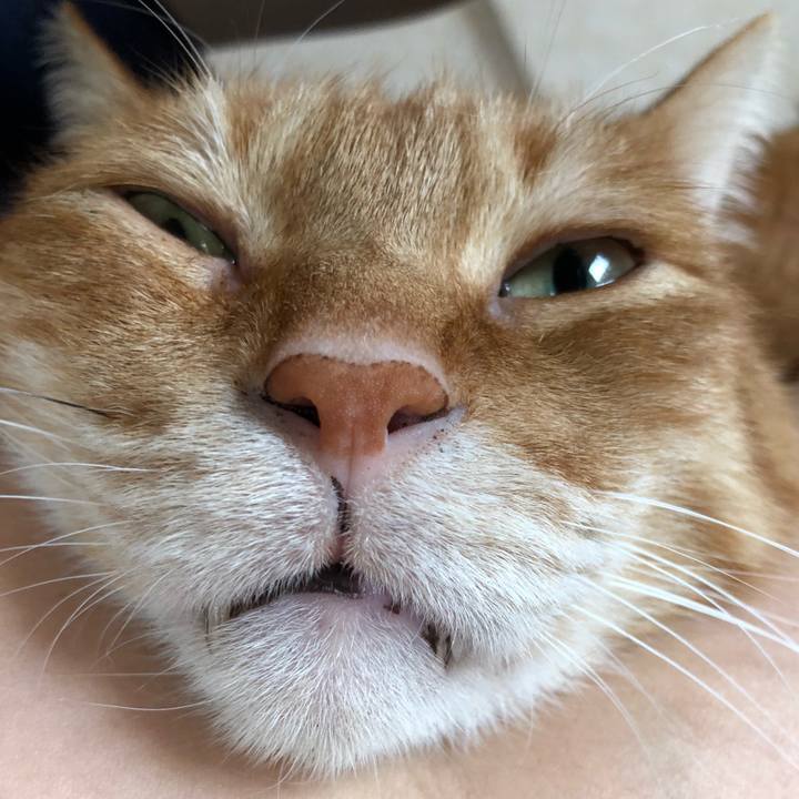 B258f5df bba8 4817 9192 d4643ee7ad1d 1637373483707