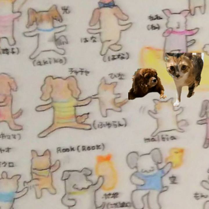 B258ff99 8a0b 476b bf15 c6fb6ec082b3 1660221048073