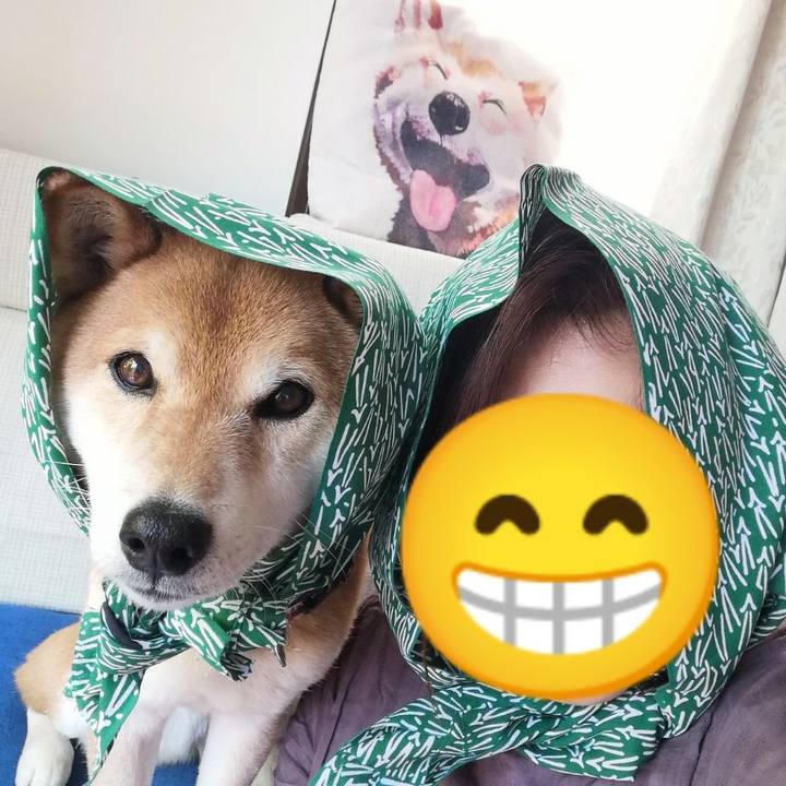 B25908eb 3175 412e a70e cc95994327bc 1683160104416