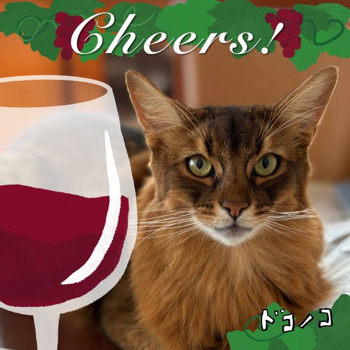 B2591d27 d849 4872 adba 86e47b6f50f7 1761216149673