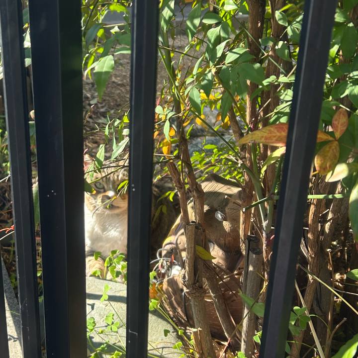 B2598620 82e5 4091 81b9 b7144659dbef 1764555427377